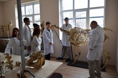 НПГВМ - Национална професионална гимназия по ветеринарна медицина Проф. д-р Д. Димов - Ловеч