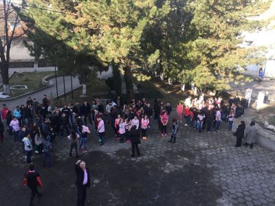 Ден на розовата Фланелка - Национална професионална гимназия по ветеринарна медицина Проф. д-р Д. Димов - Ловеч